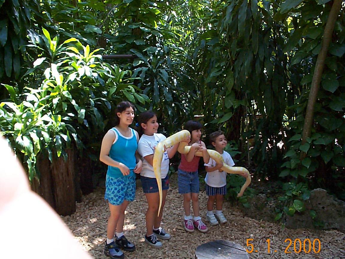 ./2000/Vacation Spring/DCP00096.JPG